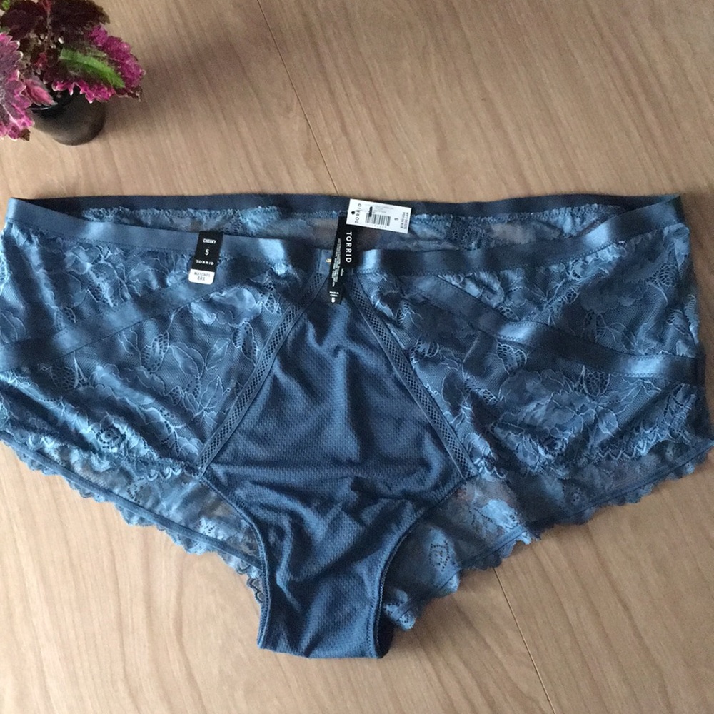 NWT Blue Lace Panties